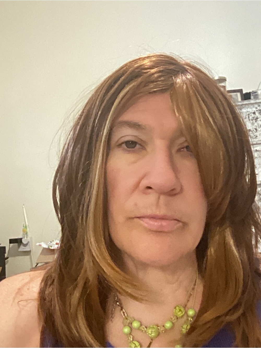 Brown and Honey Blonde Wig - Layered Long Style
